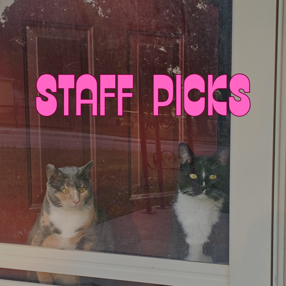 Figaro and Bailey's Current Top Picks!