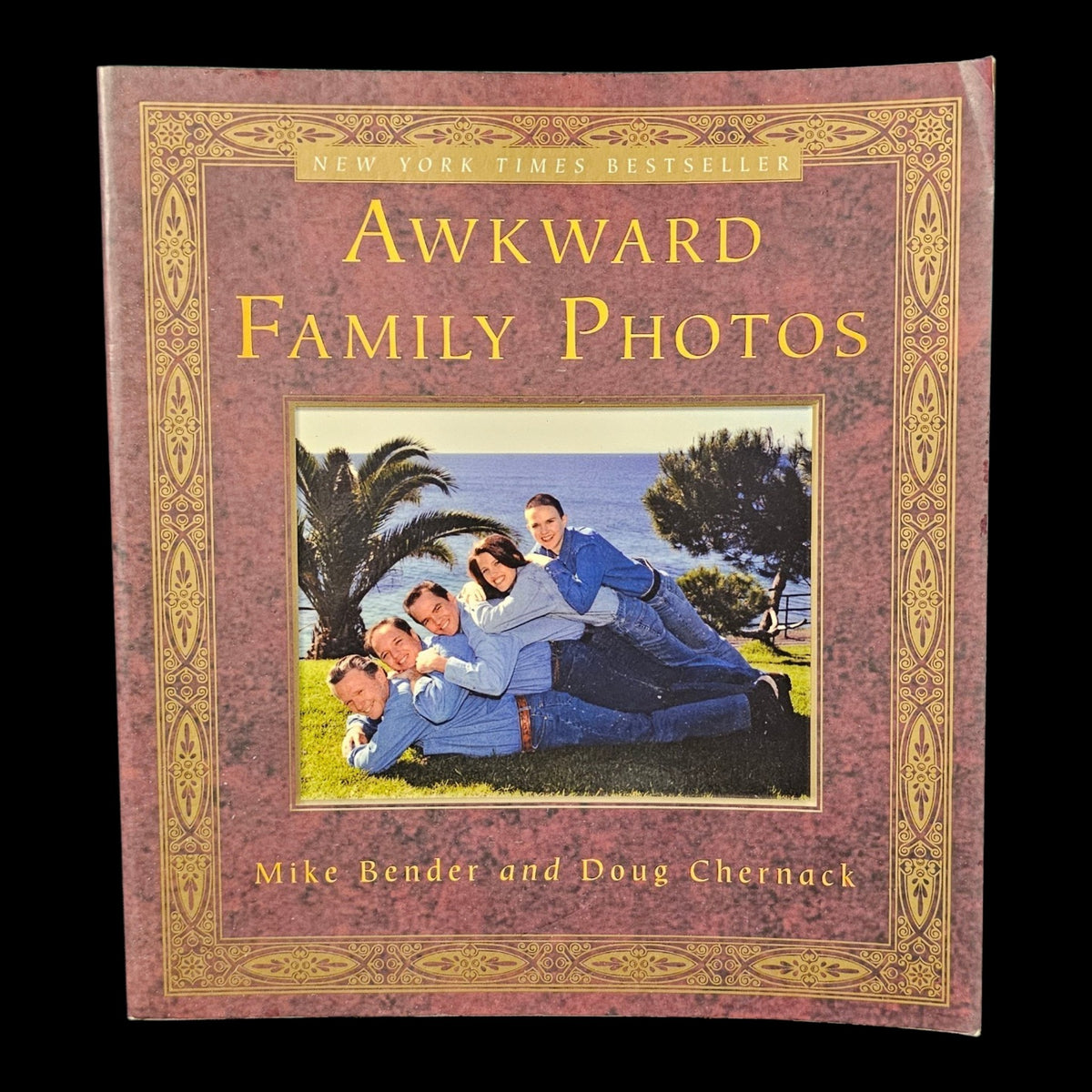 Awkward Family Photos by Mike Bender and Doug Chernack